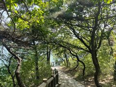 -燕窝岭