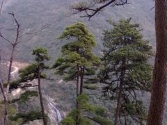 -东天目山风景区