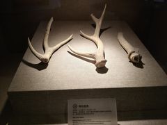 -南越王博物院(王宫展区)