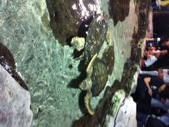 iphone_upload_pic-郑州海洋馆