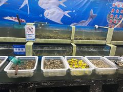 -王潮活海鲜自助·蒸汽海鲜