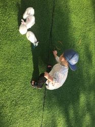 -萌宠亲子动物乐园(槐房万达店)