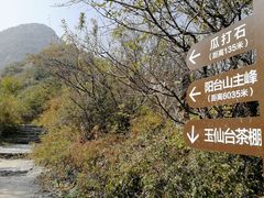 -阳台山自然风景区