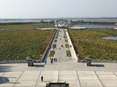 -呼兰河口湿地公园
