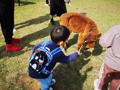 -大连铭湖国际观光牧场