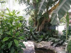 -北京植物园-展览温室