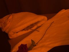 -泰禾馨·泰式按摩精油SPA(华荣大厦店)