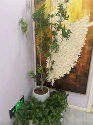 -紫琪尔胸部养护中心