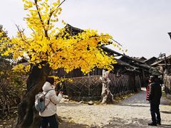 -中国汉城景区