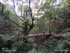 -梧桐山风景名胜区