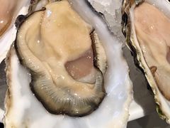 -Oyster Talks 四度蚝法餐厅