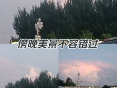 -丁香湖公园