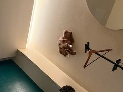 -涟LIAN·泰式按摩·MASSAGE·SPA(深业上城店)