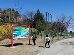 -北京鹫峰国家森林公园