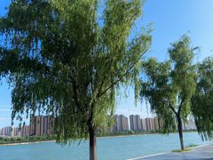 -咸阳湖景区