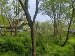 -西湖风景区-江洋畈生态公园