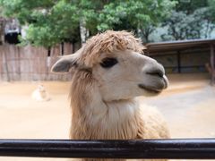 -杭州野生动物世界