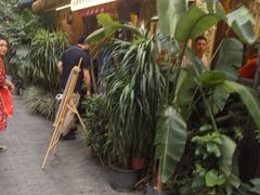 -符淼淼火锅(宽窄巷子店)