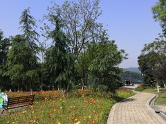 -铁山坪森林公园