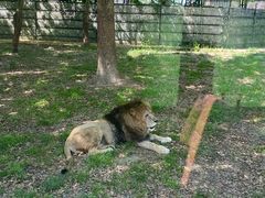 -上海野生动物园