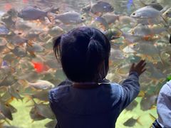 -多彩贵州城极地海洋世界