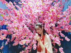 -福州奇幻解压馆(东泰禾旗舰店)