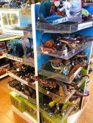 -Kidsland(望京凯德MALL店)