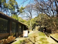 -WeLope紫金山探险公园