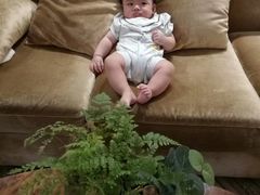-威珀斯酒店·珀萃美食餐厅 | 海鲜刺身·现烤生蚝·特色烤肉