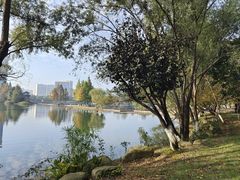 -洋湖国家湿地公园