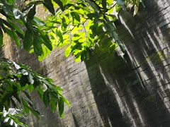 -广州神农草堂中医药博物馆