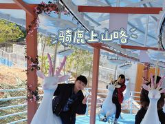 -盈香心动乐园