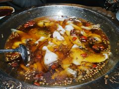 -雲蜀龙阁·金牌水煮鱼(方庄店)