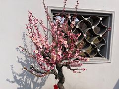 -无锡梅园公园
