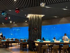 -海棠湾洲际-涛·海底餐厅·美人鱼·自助餐·海底隧道