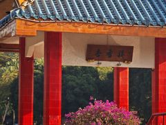 -金砂公园