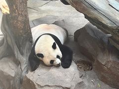 -宁波野生动物园