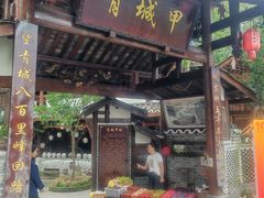 -青城甲(青城山店)