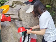 -将军关探险漂流