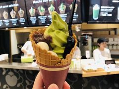 -台场海滨公园船码头
