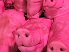 -岳各庄批发市场(西四环中路店)