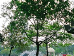 -文华公园(禅城区)