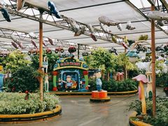 -南宫五洲植物乐园