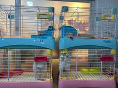 -宠爱我(南山店)