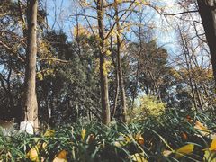 -紫金山索道-售票处
