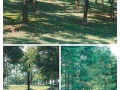 -牛岗山公园