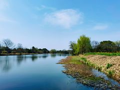 -西溪国家湿地公园