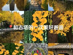-玲珑塔公园