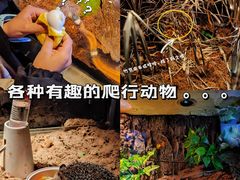 -顺德南宏海立方海洋公园