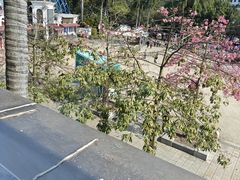 -盆满钵满·国家非遗传承(云台店)